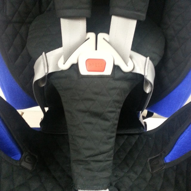 Carrot Car Seat Cover