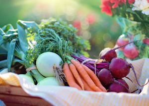 Vitamin D Deficiency and Incontinence - Is There A Link?